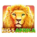 Big 5 Africa Slots