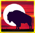 buffalo_slot_special_Buffalo_Moon_581