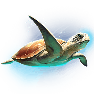 Atlantis_turtle